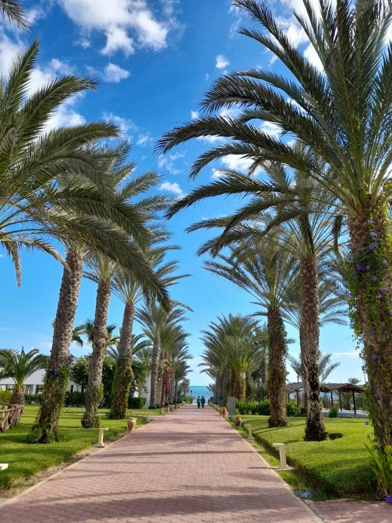 Pexels aemyr sahli 154798633